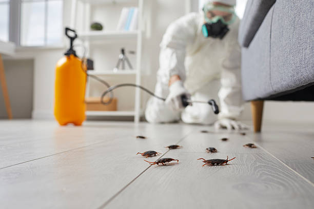 Affordable Cockroach Control solutions in Keeler Farm, NM